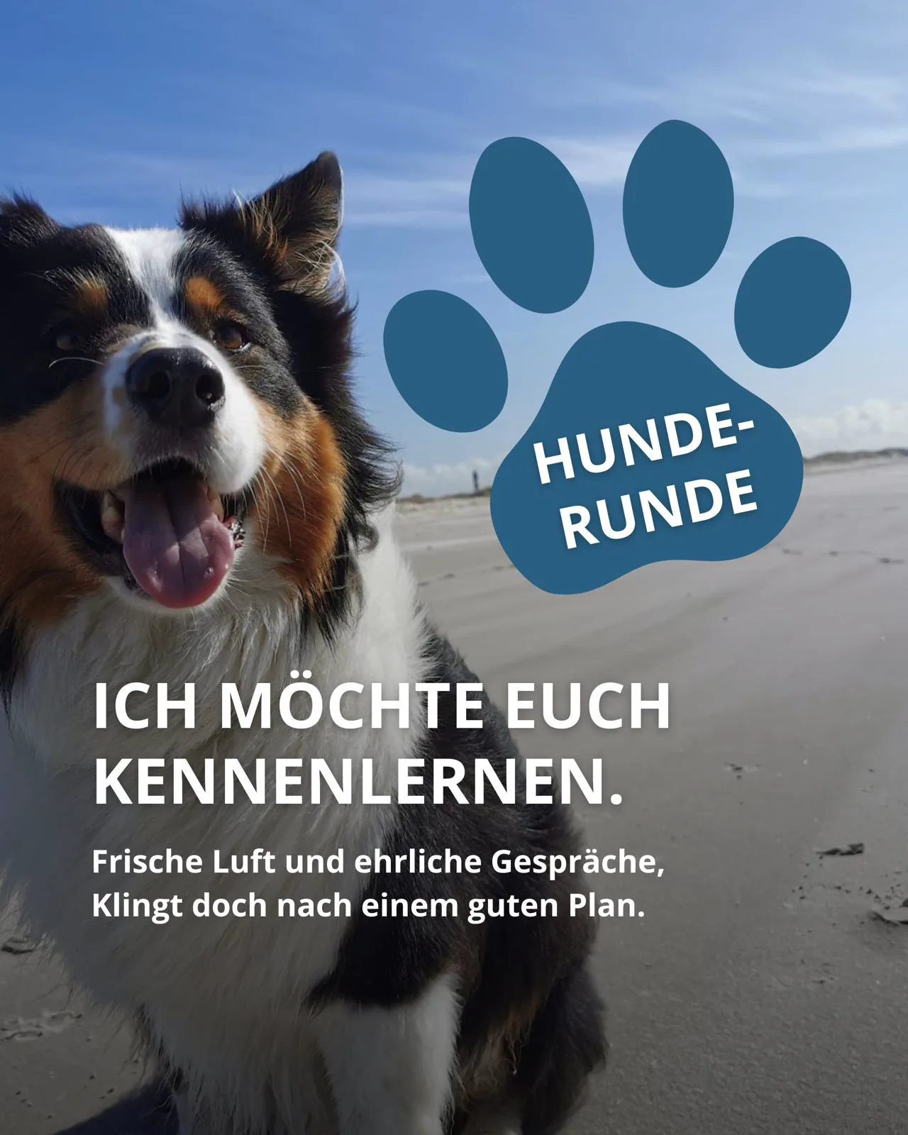 Hunderunde: Carsten Kölling beim Spaziergang mit Bürgerinnen und Bürgern